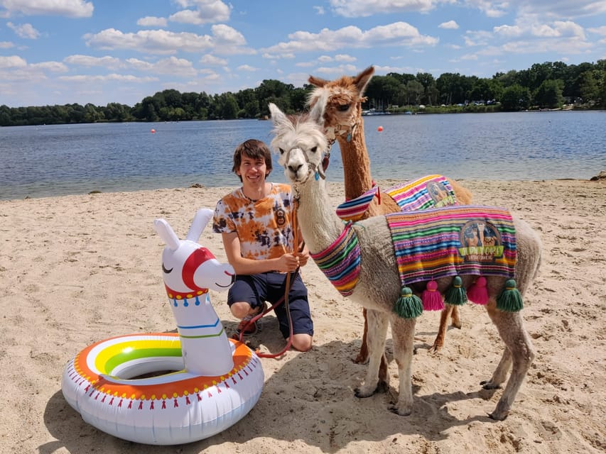 Braunschweig: Alpaca Trekking Tour - Booking details worth checking