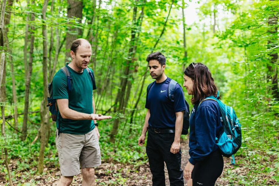 Budapest: Buda Hills Guided Hiking Tour with Optional Lunch - Key things to know before you go