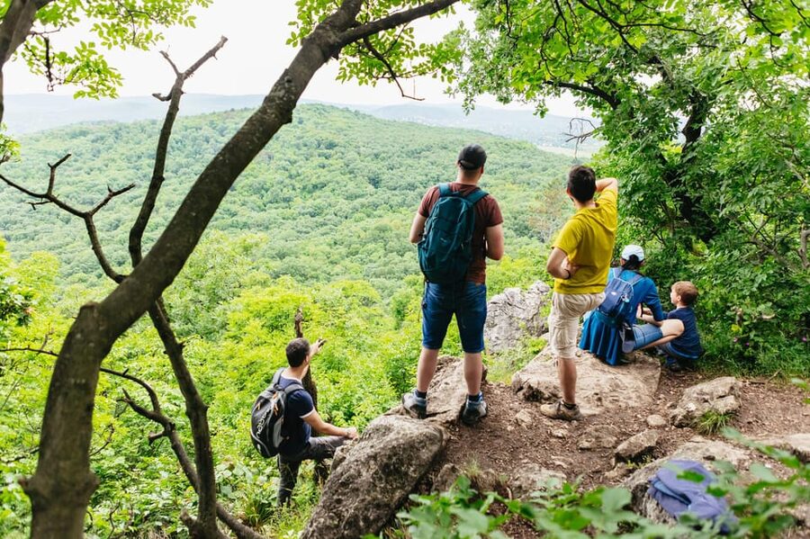 Budapest: Buda Hills Guided Hiking Tour with Optional Lunch - Why leave central Budapest for the Buda Hills?
