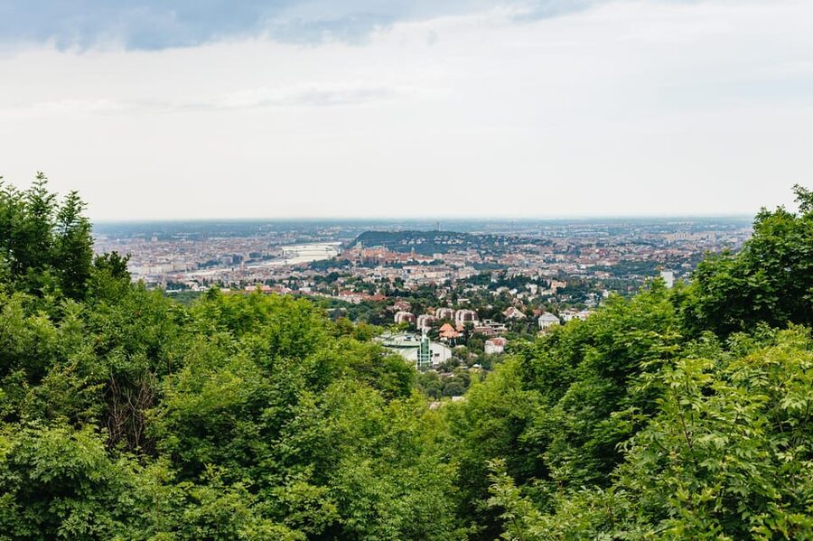 Budapest: Buda Hills Guided Hiking Tour with Optional Lunch - The woodland trail and the Elizabeth Lookout Tower