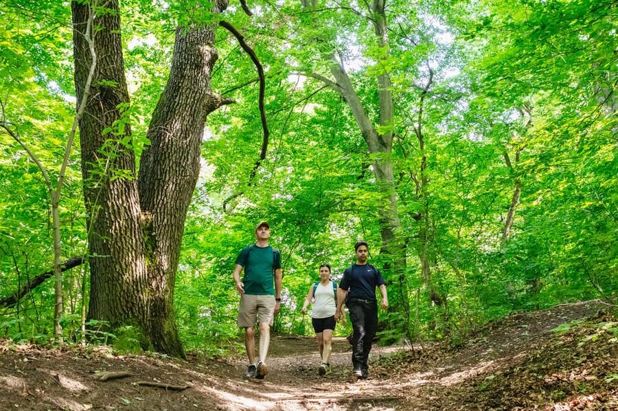 Budapest: Buda Hills Guided Hiking Tour with Optional Lunch - Starting near Széll Kálmán tér