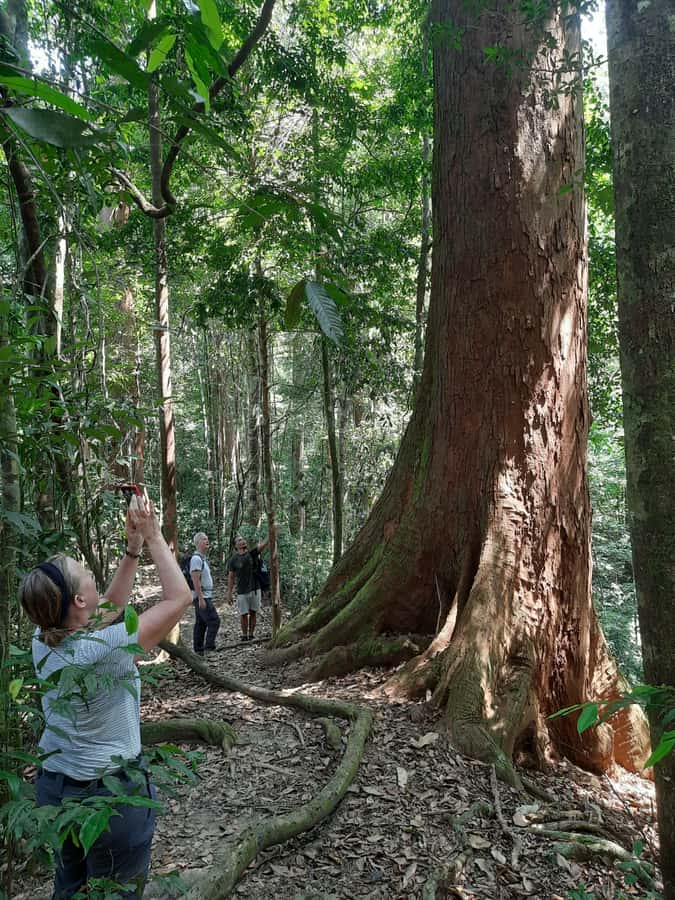 Bukit Lawang: Jungle Trekking and Rafting Day Trip - The long road from Medan to Bukit Lawang
