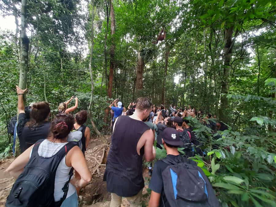 Bukit Lawang: Jungle Trekking and Rafting Day Trip - The return to Medan