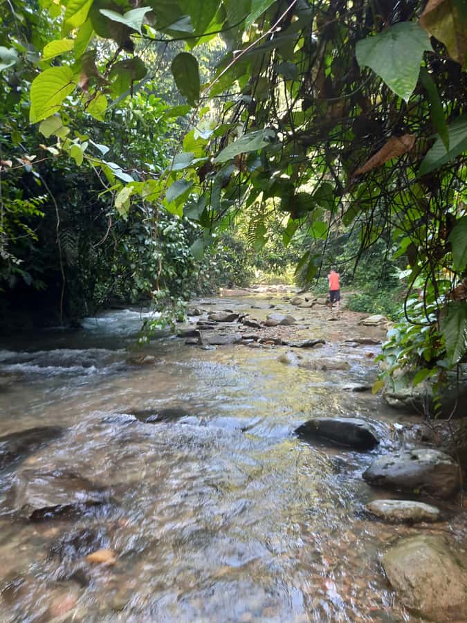 Bukit Lawang: Jungle Trekking and Rafting Day Trip - Is the $172 price fair?