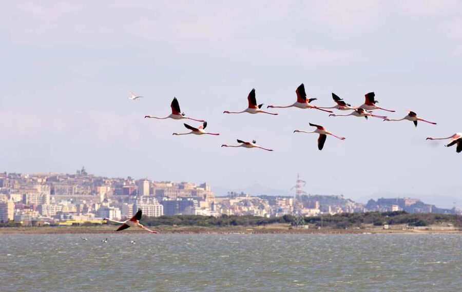 Cagliari: Bike & Hike Tour - What the $82 price includes