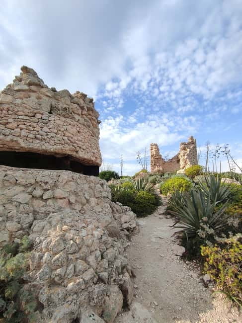 Cagliari: Bike & Hike Tour - Should you book the Cagliari Bike and Hike Tour?
