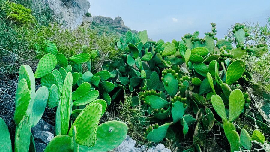 Cala Millor: "Cavemen", cave on a mountain,fun game and hike - Solving riddles while you climb