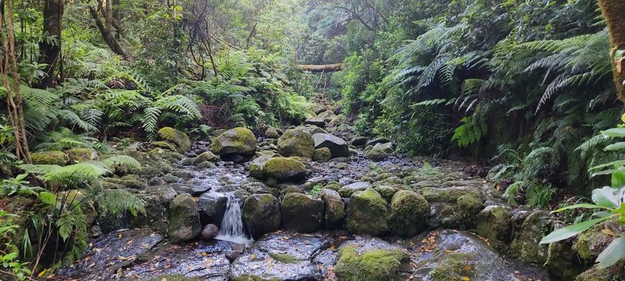 Caldeirão Verde: Levada Caldeirao Verde Hiking Transfer - What to pack for a smoother five hours
