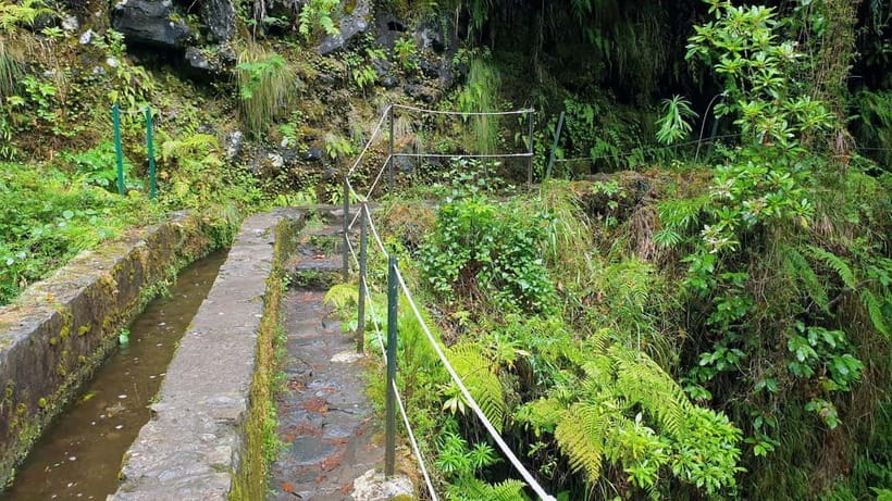 Caldeirão Verde: Levada Caldeirao Verde Hiking Transfer - Caldeirão Verde is the reward at the end