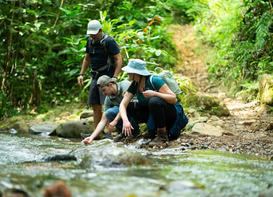 Cali: Hiking to the Pance waterfalls - Key points before you book