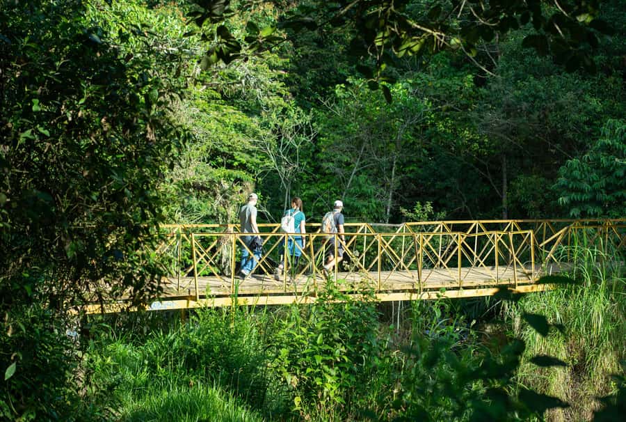 Cali: Hiking to the Pance waterfalls - Booking flexibility and practical limits