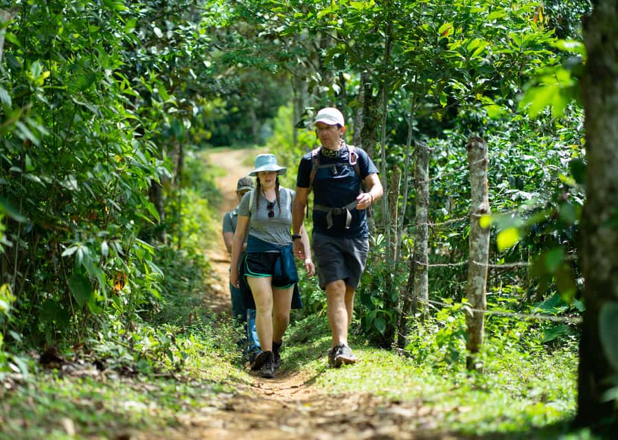 Cali: Hiking to the Pance waterfalls - Rivers, slippery ground, and the real level of effort