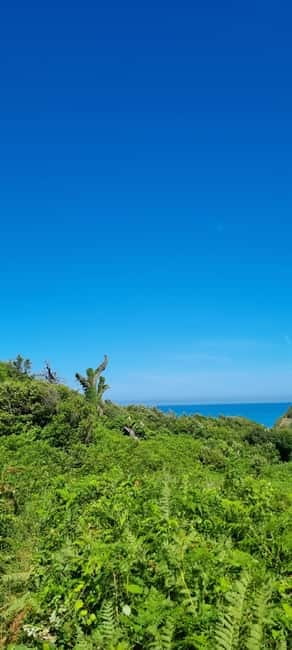 Cape of Rodon, Hiking to Castle, Beach, Wine testing tour! - St. Anthony’s Church and its painted interior
