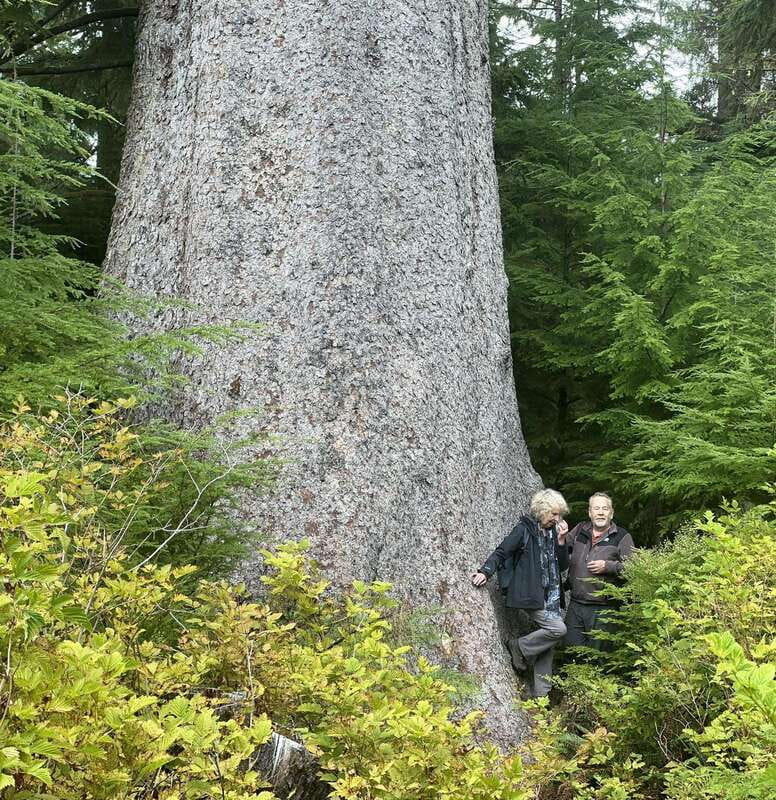 Cape Scott: San Josef Bay Day Hike with Scenic Drive - Why San Josef Bay makes the long day worthwhile