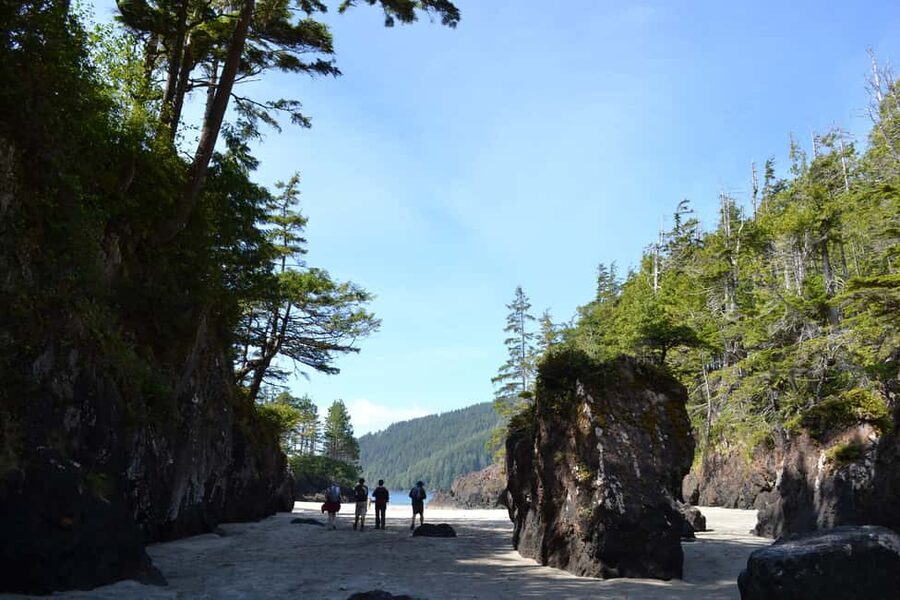 Cape Scott: San Josef Bay Day Hike with Scenic Drive - The old-growth trail to San Josef Bay