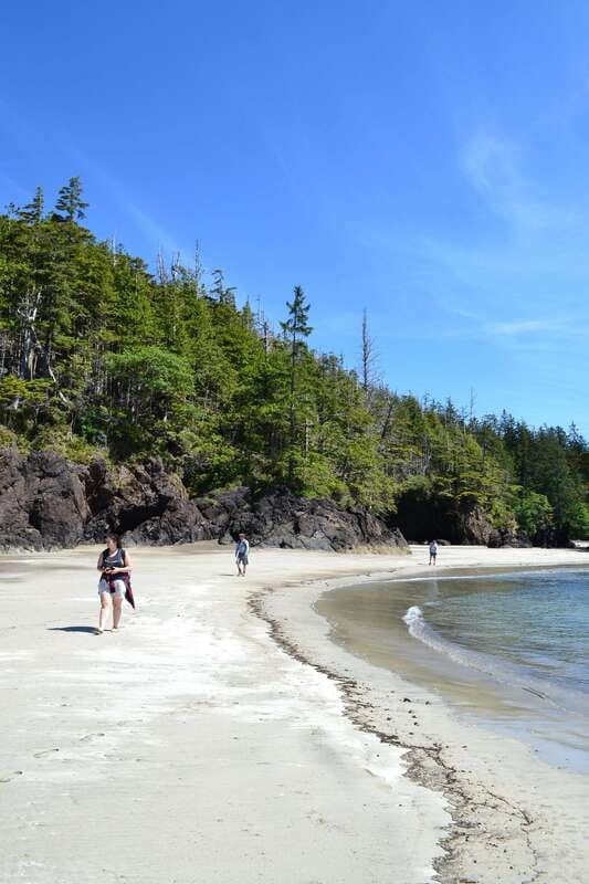 Cape Scott: San Josef Bay Day Hike with Scenic Drive - What the $274 price really covers