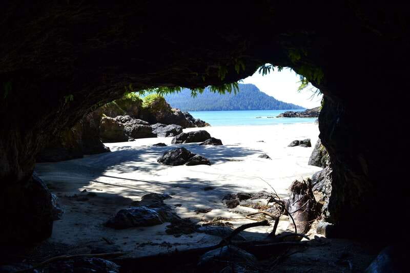 Cape Scott: San Josef Bay Day Hike with Scenic Drive - Group size, guide style, and languages