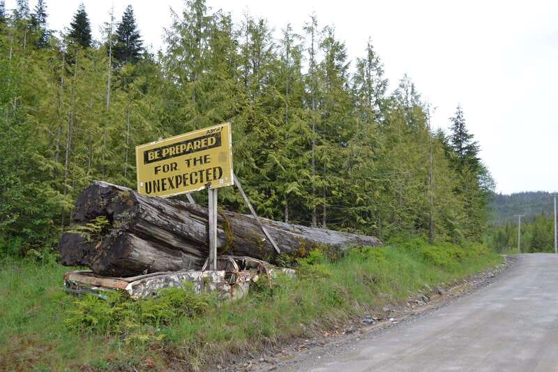Cape Scott: San Josef Bay Day Hike with Scenic Drive - Who should book this San Josef Bay outing?