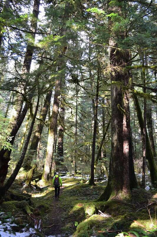 Cape Scott: San Josef Bay Day Hike with Scenic Drive - The Port Hardy departure and the long road north