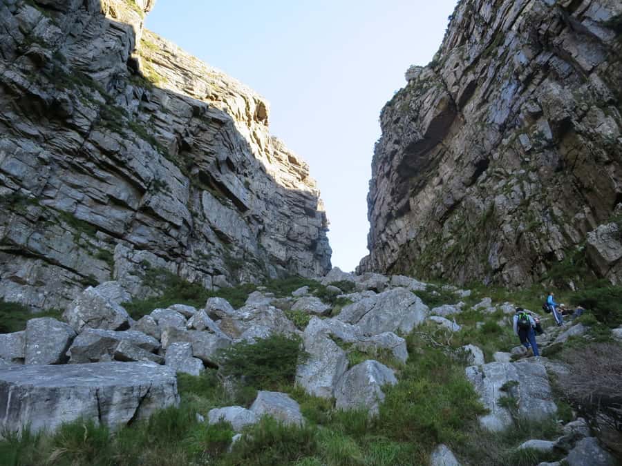 Cape Town: 3-Hour Table Mountain Hike via Platteklip Gorge - Five things to know before climbing