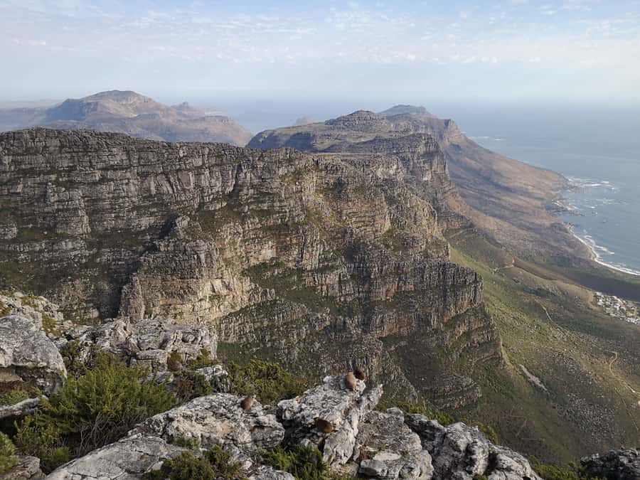 Cape Town: 3-Hour Table Mountain Hike via Platteklip Gorge - Should you book the Platteklip Gorge hike?