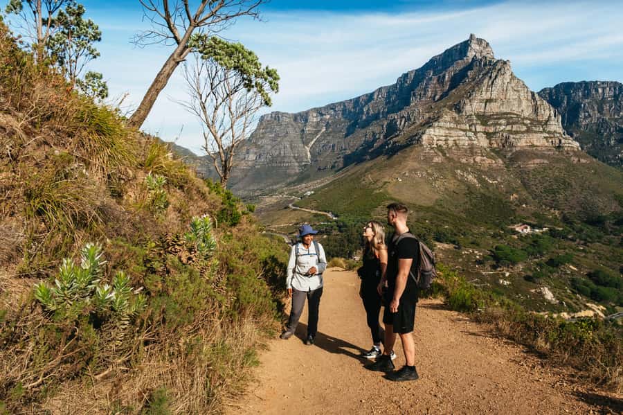 Cape Town: Guided Lion's Head Hike at Sunrise or Sunset - Reaching the summit and the big Cape Town view