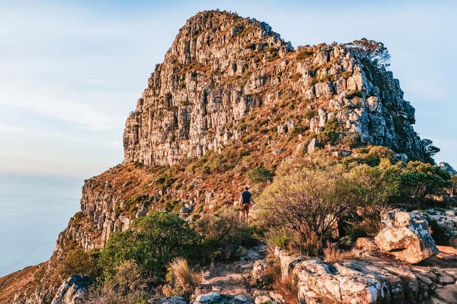 Cape Town: Guided Lion's Head Hike at Sunrise or Sunset - Coffee, koeksisters, and a welcome pause