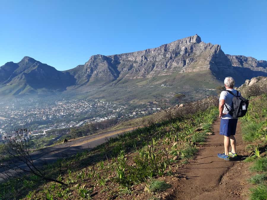 Cape Town: Lion's Head Sunrise Hike - Who should book the sunrise hike?