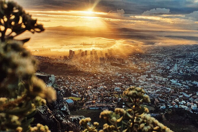 Cape Town: Lion's Head Sunrise/Sunset Hike - Who should book this hike?