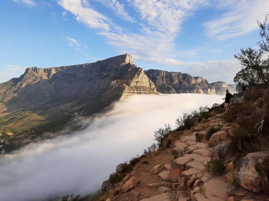 Cape Town: Lion's Head Sunrise with coffee or Sunset Hike - What the $49 Price Really Buys