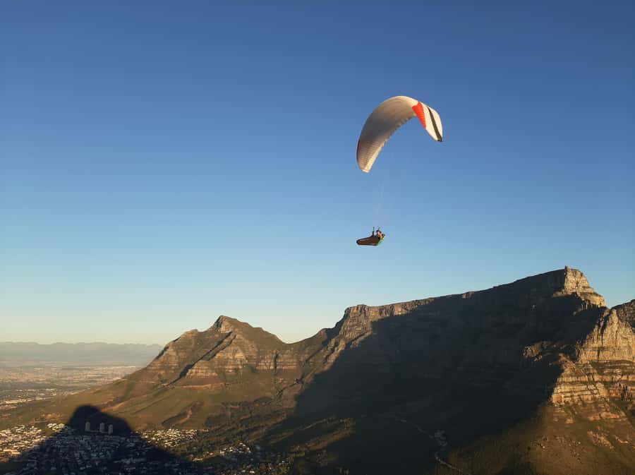 Cape Town: Lion's Head Sunrise with coffee or Sunset Hike - The Silver Leaf Trees and Atlantic Views