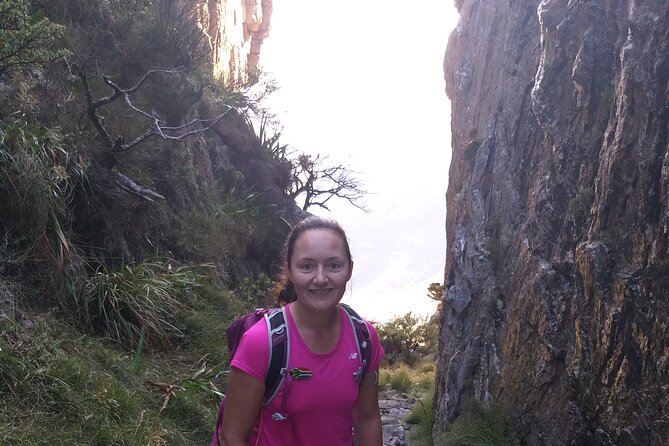 Cape Town: Platteklip Gorge Half-Day Hike on Table Mountain - City and Table Bay views from the north face