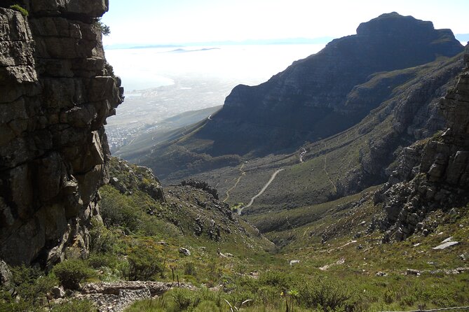 Cape Town: Platteklip Gorge Half-Day Hike on Table Mountain - Who should book this Table Mountain hike?
