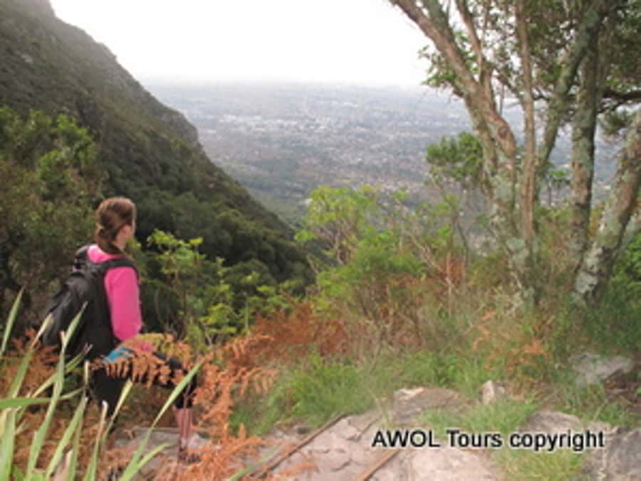 Cape Town Private Guided Table Mountain Hikes - Is the $294 price good value?