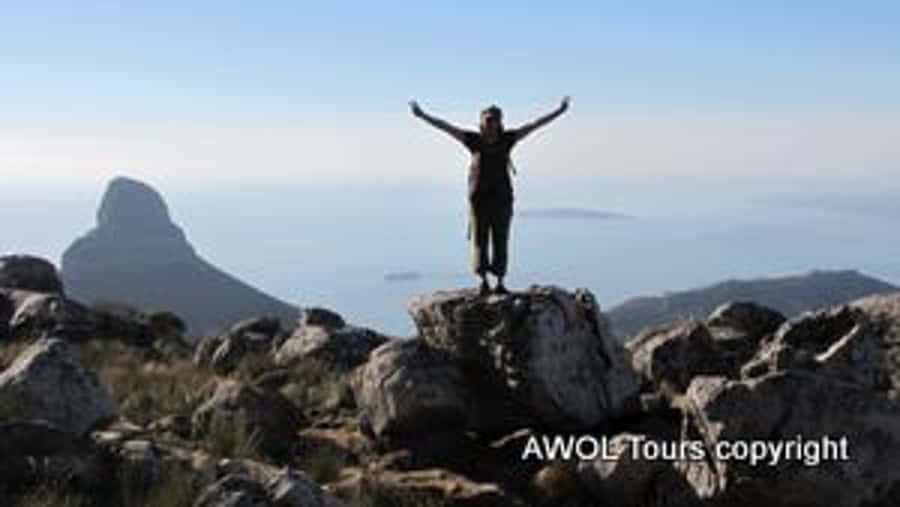 Cape Town Private Guided Table Mountain Hikes - Should you book the AWOL Table Mountain hike?