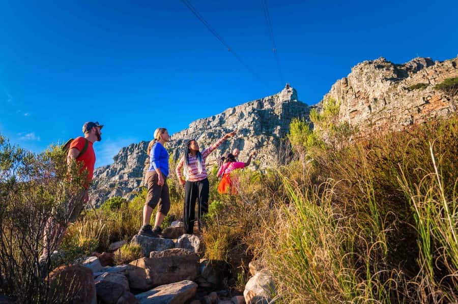 Cape Town Private Guided Table Mountain Hikes - Choosing between six very different routes
