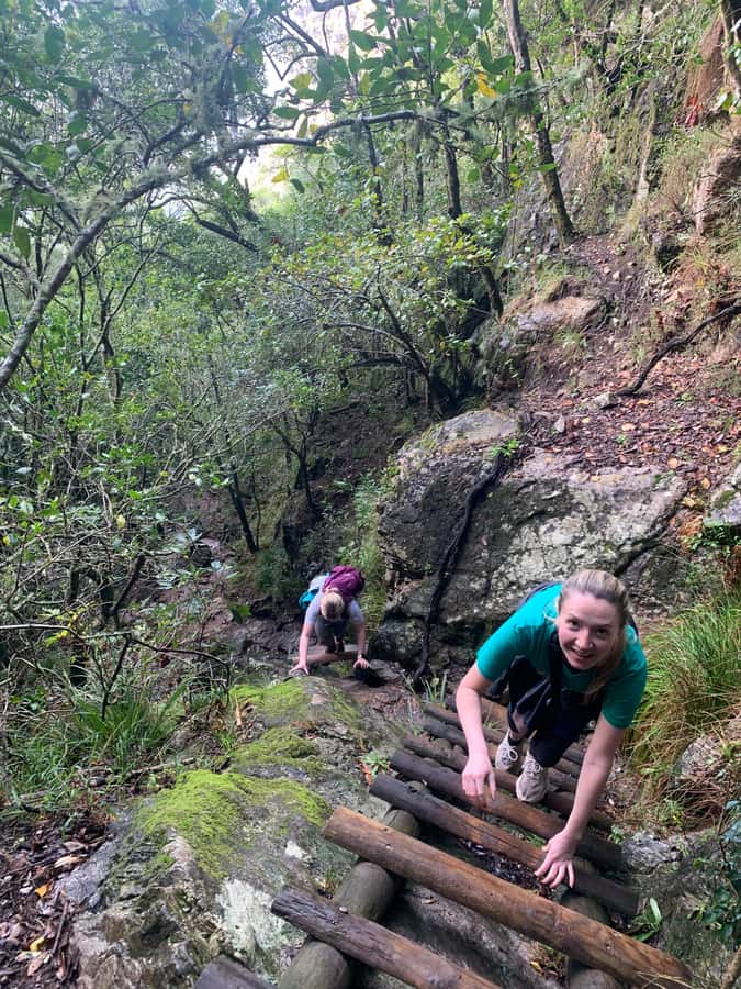 Cape Town: Skeleton Gorge and Kirstenbosch Gardens Hike - Key points to know before you book