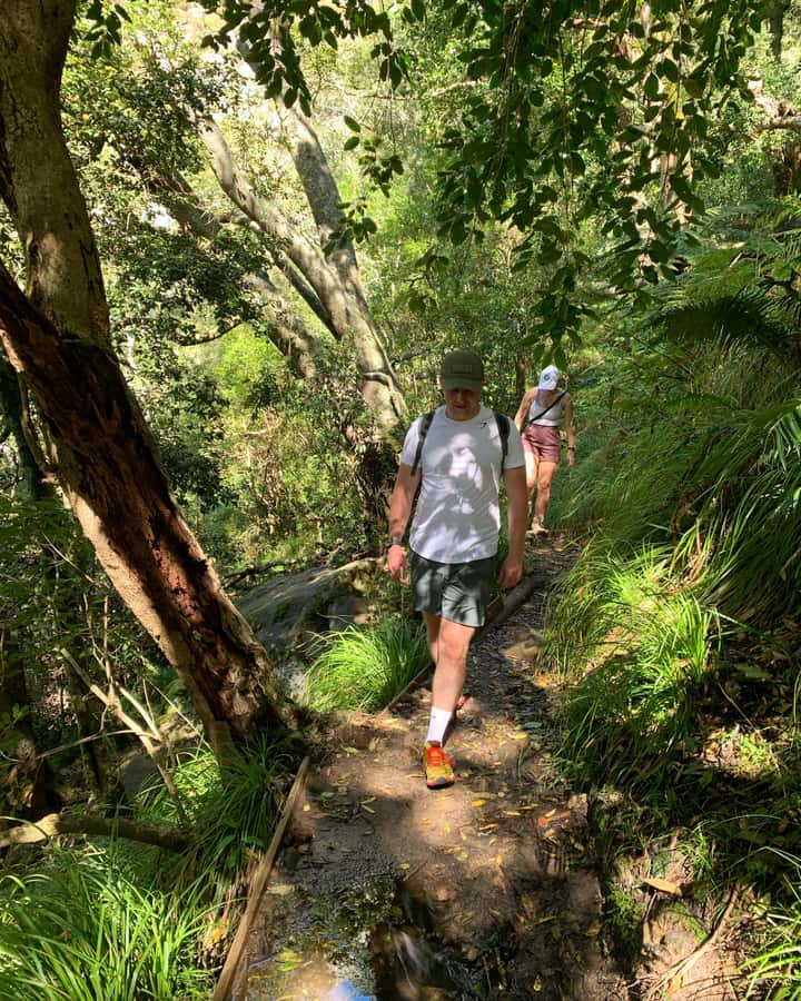 Cape Town: Skeleton Gorge and Kirstenbosch Gardens Hike - Why Skeleton Gorge feels different from other Table Mountain walks