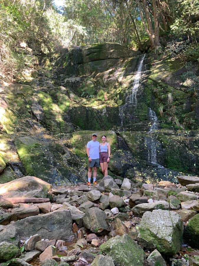 Cape Town: Skeleton Gorge and Kirstenbosch Gardens Hike - The wooded gorge and its ladders