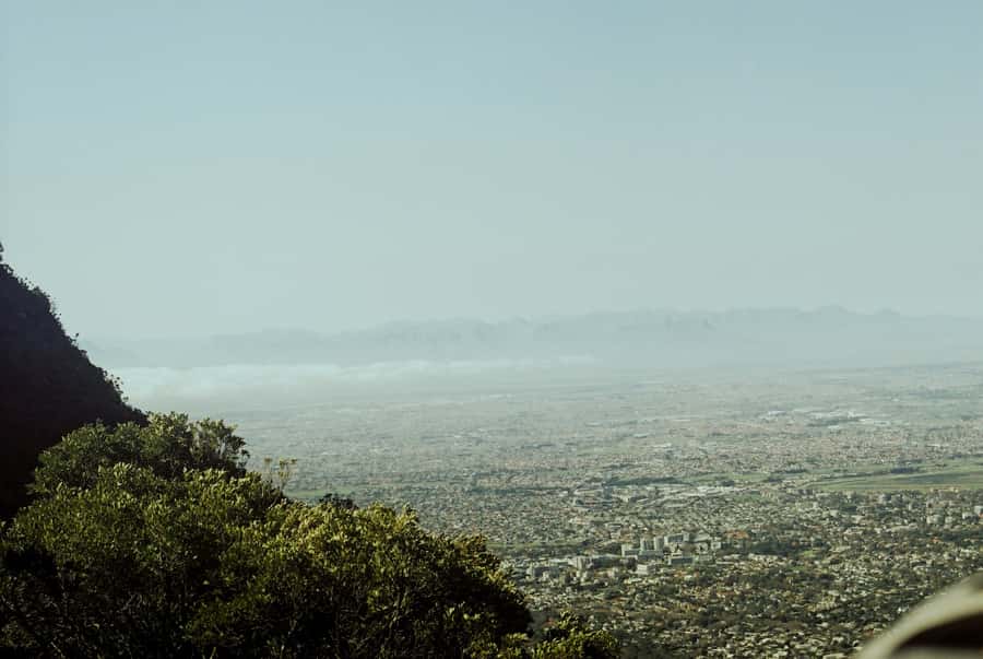 Cape Town: Skeleton Gorge and Kirstenbosch Gardens Hike - What the $93 price really covers