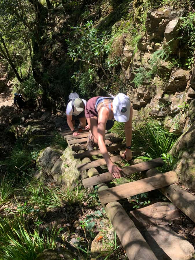 Cape Town: Skeleton Gorge and Kirstenbosch Gardens Hike - Booking, cancellation, and practical planning