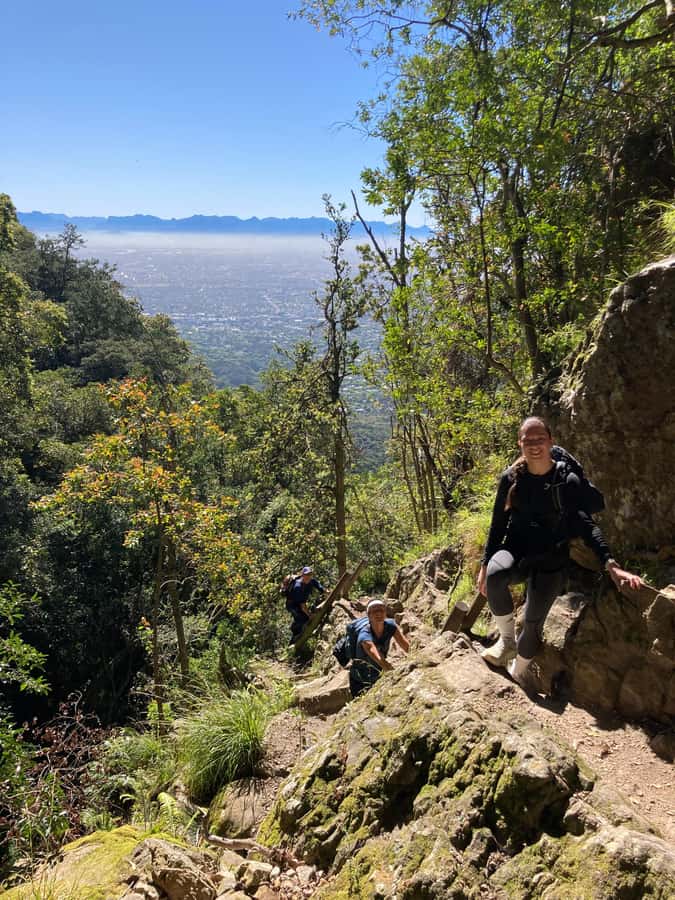 Cape Town: Skeleton Gorge Hike to Table Mountain Summit - Key points to know before you book