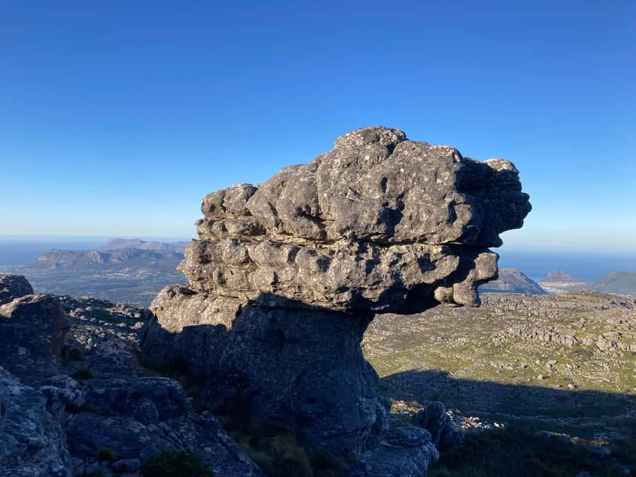 Cape Town: Skeleton Gorge Hike to Table Mountain Summit - Ladders, rocks, and the steeper upper trail
