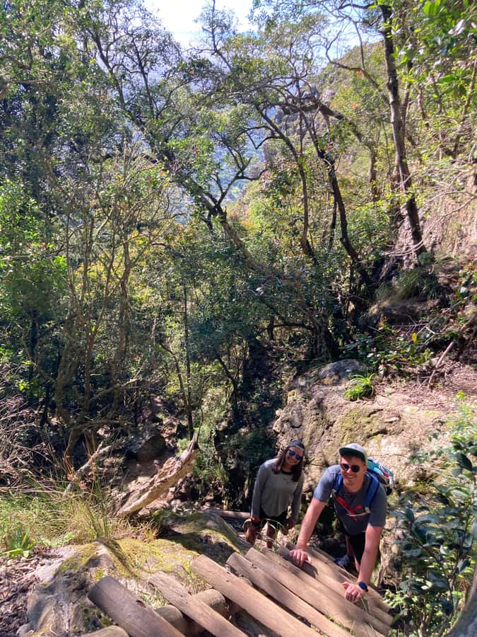 Cape Town: Skeleton Gorge Hike to Table Mountain Summit - Reaching the Table Mountain plateau