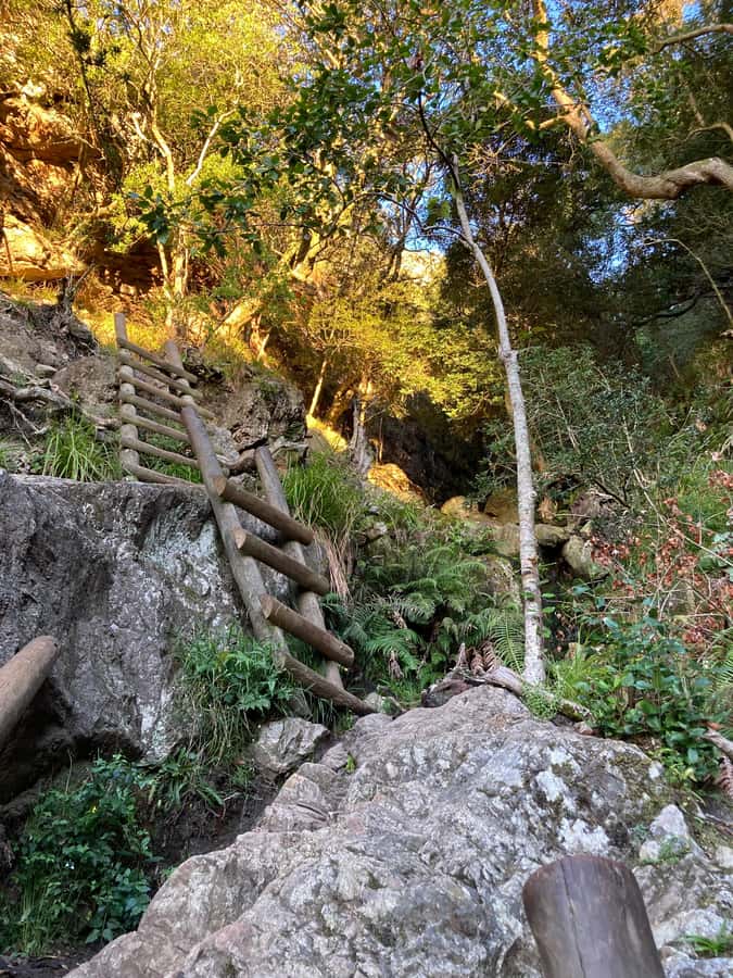 Cape Town: Skeleton Gorge Hike to Table Mountain Summit - What to bring and how to prepare