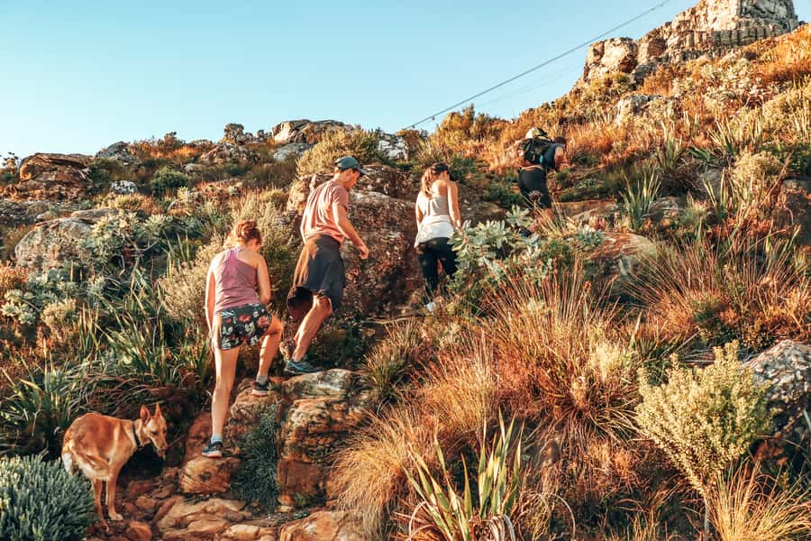 Cape Town: Table Mountain Hike via India Venster - The first climb and the first views