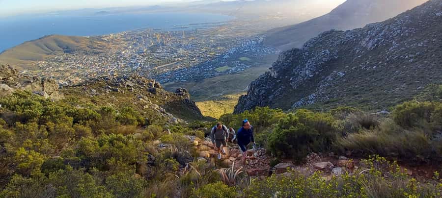 Cape Town: Table Mountain Hike via India Venster Morning - Fynbos, flowers, and the value of a guide