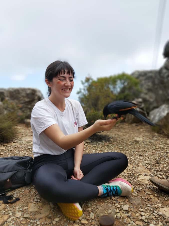 Cape Town: Table Mountain Hike with an Expert Guide - Key points to know before you climb
