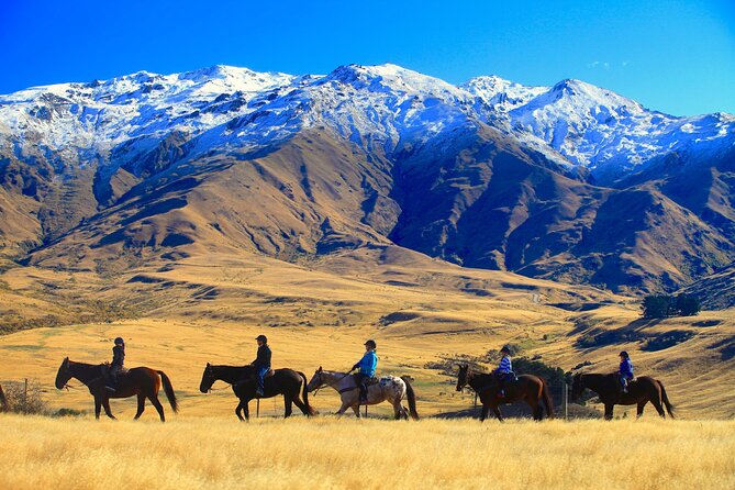 Cardrona High Country Pub Trail Horse Trek (Intermediate level+) - Why this is more than a standard horse ride