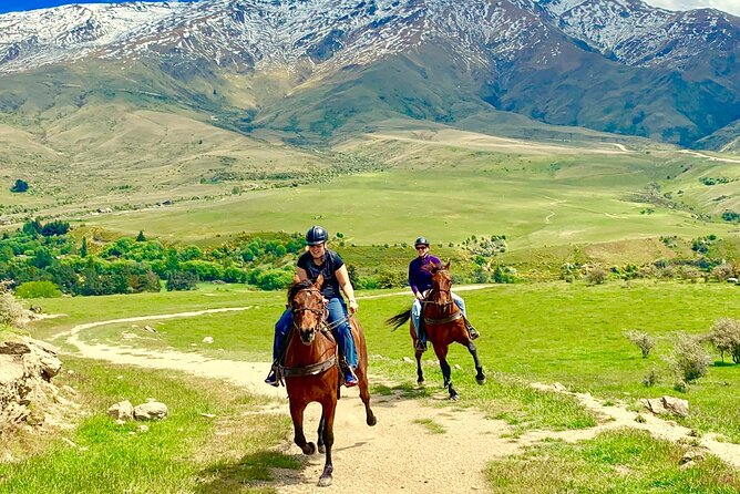 Cardrona High Country Pub Trail Horse Trek (Intermediate level+) - Climbing into Cardrona’s high country